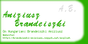 aniziusz brandeiszki business card